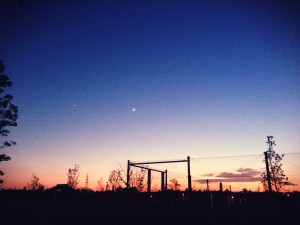 IMG_0715